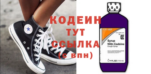 индика Балахна