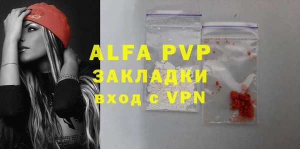 индика Балахна