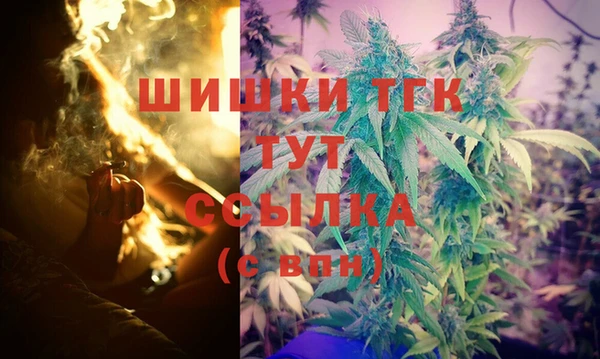 спайс Баксан